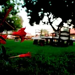 Hotel The Grand Uecel
