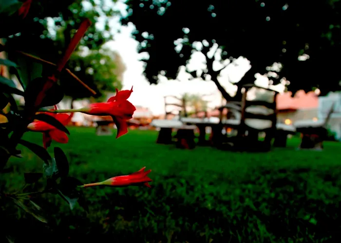 Ξενοδοχείο The Grand Uecel