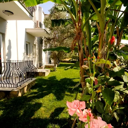 The Grand Uecel 3*
